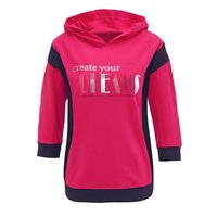 Sweatshirt Sweatshirt von Witt