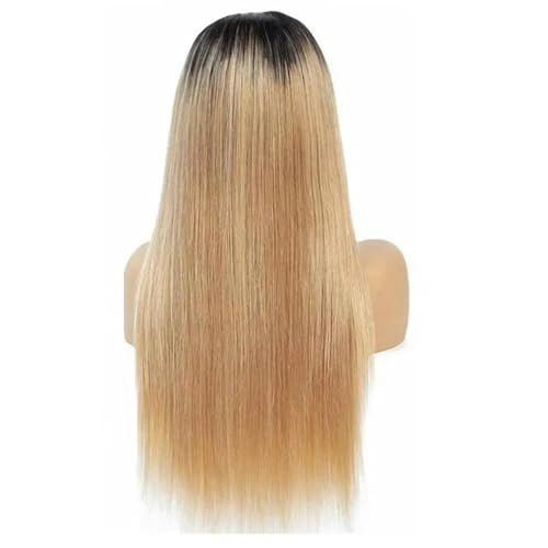 Ombre Farbe Spitze Verschluss Perücke Gerade Menschenhaar Spitze Perücken Für Frauen Remy Haar Lange Gerade Perücken Natürliche Haar Perücken 1B 27 Color 12INCHES#4x1 Lace Wig von Wjnvfioo