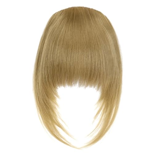 Wkclnfs Bangs Clip in 100% Remy Echthaar Fringe Bangs Extension Verlängerung natürliche Haarteil für Frauen Mädchen 12inch (24#) von Wkclnfs