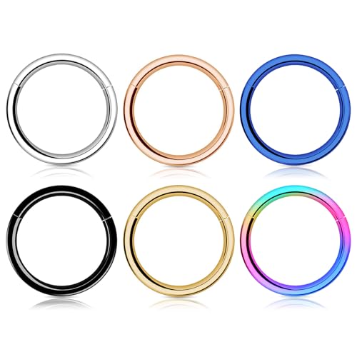 Woffoly 6 Stück Hoop Nose Ring Für Frauen Männer, 316L Surgical Steel Sleeper Ohrringe Septum Clickers Klappsegment, Hypoallergene Conch Lobe Piercing Daith Helix Gold Schmuck (16G 8mm) von Woffoly