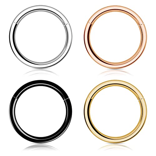 Hoop Nose Ring Für Frauen Männer, Woffoly 316L Surgical Steel Sleeper Hoop Ohrringe Septum Clickers Klappsegment Ring, Hypoallergene Conch Lobe Piercing Daith Helix Gold Ring Schmuck (20G 10mm) von Woffoly