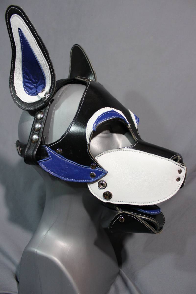 Husky Stil Pup Maske Mit Blauen Akzenten von WolfstrykerLeather