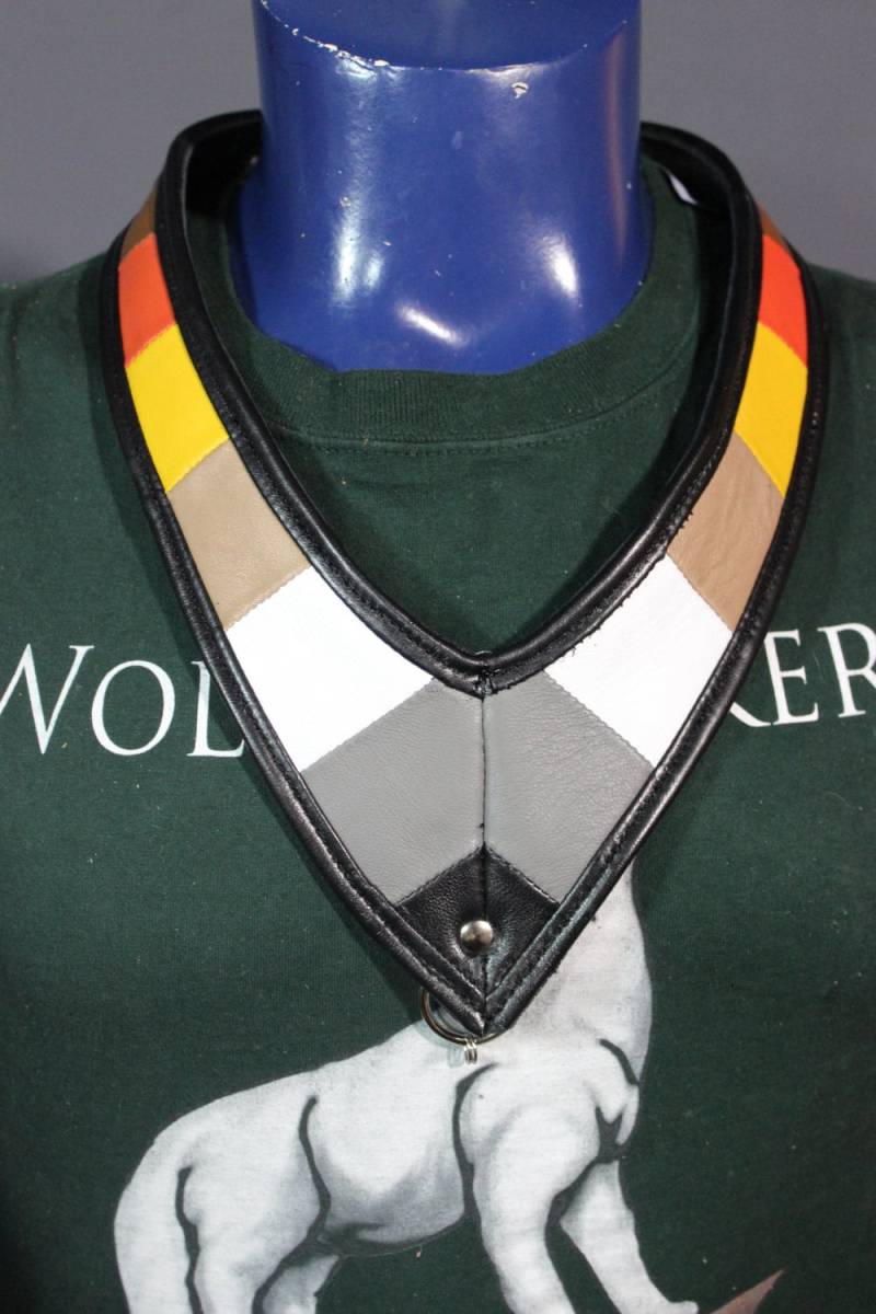 Medaillon-Halter in Bear-Pride-Farben von WolfstrykerLeather