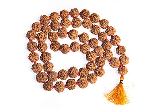 Wonder Care Authentic Rudraksh Mala-5 Gesicht 54+1 Perle - Echtes Himalaya Rudraksha Samen Religiöse Verzierung Rosenkranz Japa Mala Halskette - Importiert aus Nepal von Wonder Care