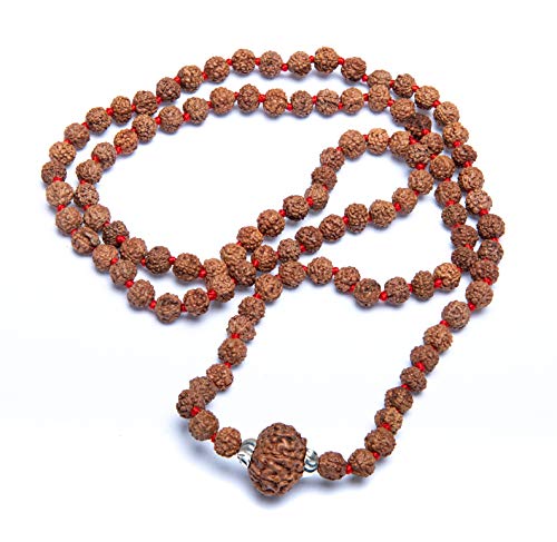 Wonder Care Authentic Rudraksh Mala mit Mukhi-Perle - Echte Himalaya-Rudraksha-Samen Religiöse Ornament Rosenkranz Japa Mala Halskette - Importiert aus Nepal [8 Mukhi] von Wonder Care