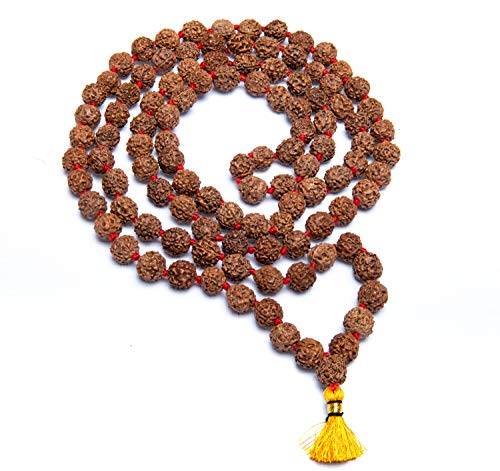 Wonder Care Rudraksh Natural 5 Face 12mm Mala mit 108 + 1 Bead - Rudraksha Seeds Religious Ornament Rosenkranz Japa Mala Halskette - Importiert aus Nepal [12mm] von Wonder Care