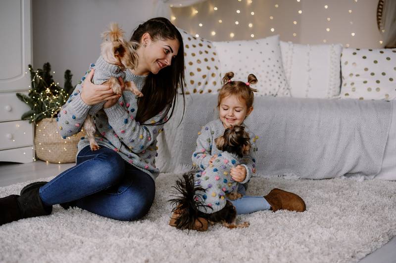 Passendes Merino Wolle Popcorn Pullover Set Für Kleines Mädchen Und Hund - Gemütlich Entzückend von WoolenWoolShop