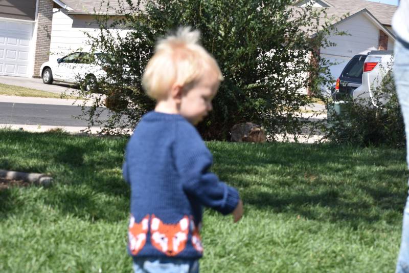 Pullover Für Kinder Füchse Sind Immer. Größe 6-9 Monate. Unisex Maschinenwaschbar von Woolycricket