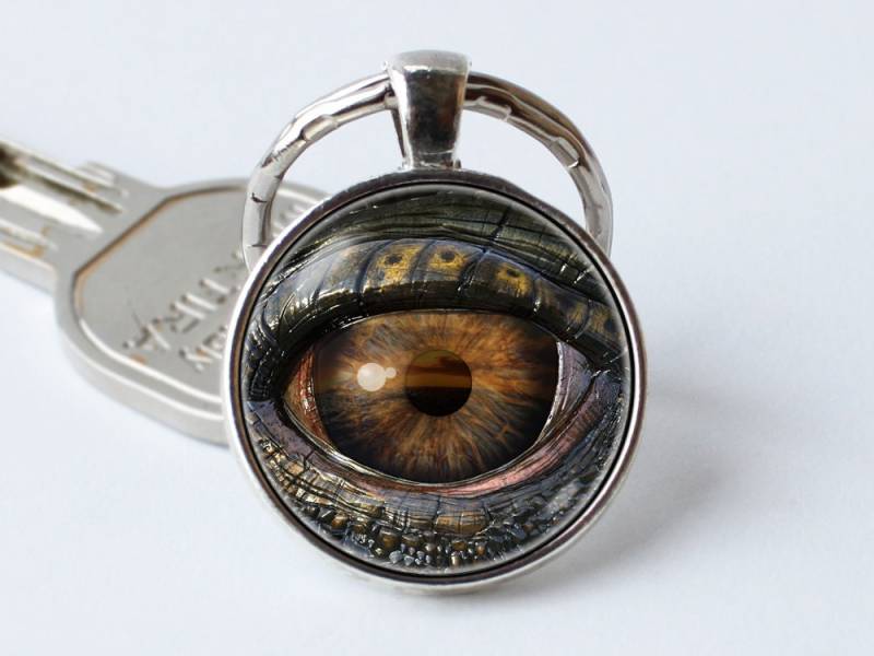 Auge Des Drachen Schlüsselanhänger Dino Schmuck Dinosaurier Anhänger Geschenk von WorldOfDream