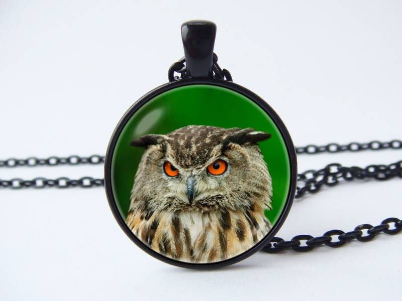 Eule Schmuck Halskette Anhänger Vogel Charme Geburtstag Geschenk Nacht Foto Zubehör Liebhaber Wald von WorldOfDream