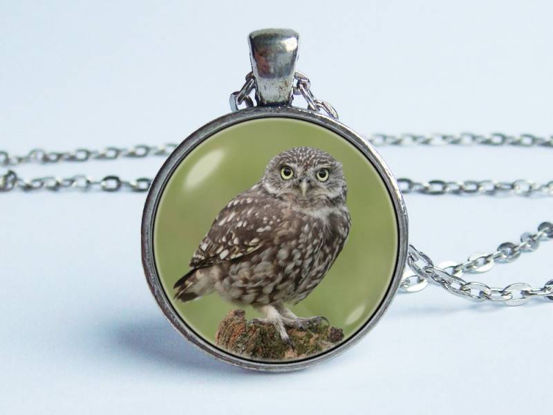 Eulenhalskette Vogel-Anhänger Eulenschmuck Wilde Vogel Eulentierhalskette Foto-Halskette Naturschmuck Vogelgeschenk Eulenvogelanhänger Vogelhalskette von WorldOfDream