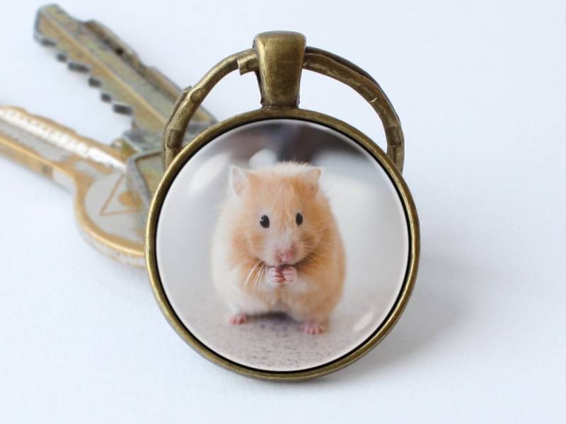 Hamster Schlüsselanhänger Schmuck Anhänger Haustier Kleine Geschenkidee von WorldOfDream
