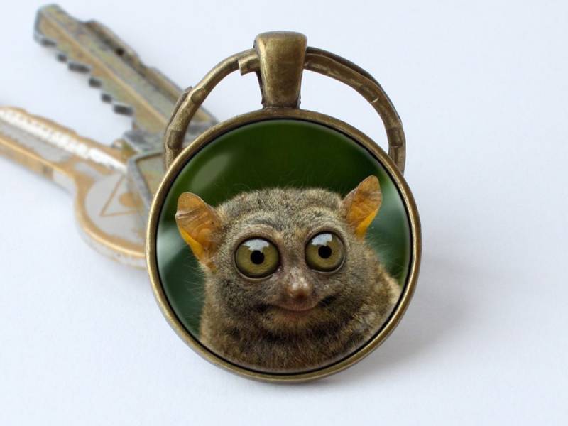 Lustige Tiere Tier Schmuck Schlüsselanhänger Tarsier Zoo Dschungel von WorldOfDream