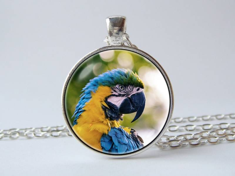 Papagei Halskette Anhänger Geschenk Für Frauen Schmuck Vogel Geburtstag Liebhaber Bunte Kunst Foto von WorldOfDream