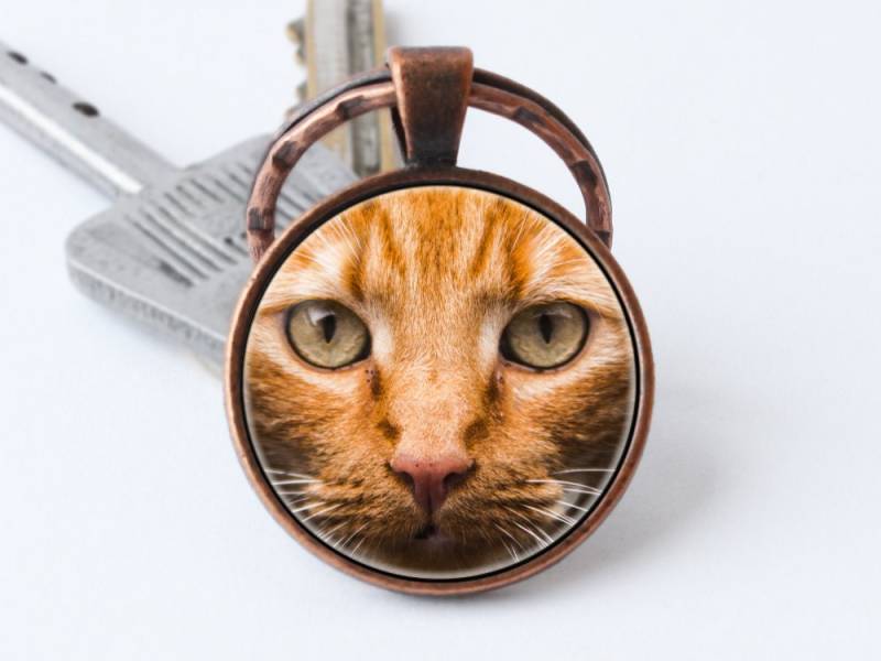 Rote Katze Schlüsselanhänger Schmuck Kätzchen Anhänger Haustier Katzenliebhaber Geschenk Tierschlüsselring Tiergeschenk von WorldOfDream