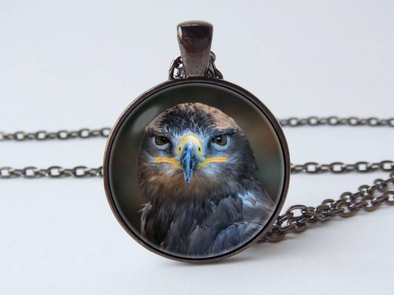 Vogel Halskette Anhänger Schmuck Wild Wildlife Foto Natur Geschenk Kopf Hawk Bild Vogel Halskette Anhänger Schmuck Wild Wildlife Foto Natur Geschenk Kopf Hawk Bild von WorldOfDream
