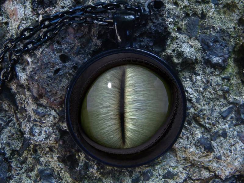 Dragon Eye Glühen Im Dunklen Grau Auge Dinosaurier Grünes Eidechse Glow Halskette Anhänger Glühende Schmuck Aerovironment von WorldOfGlow