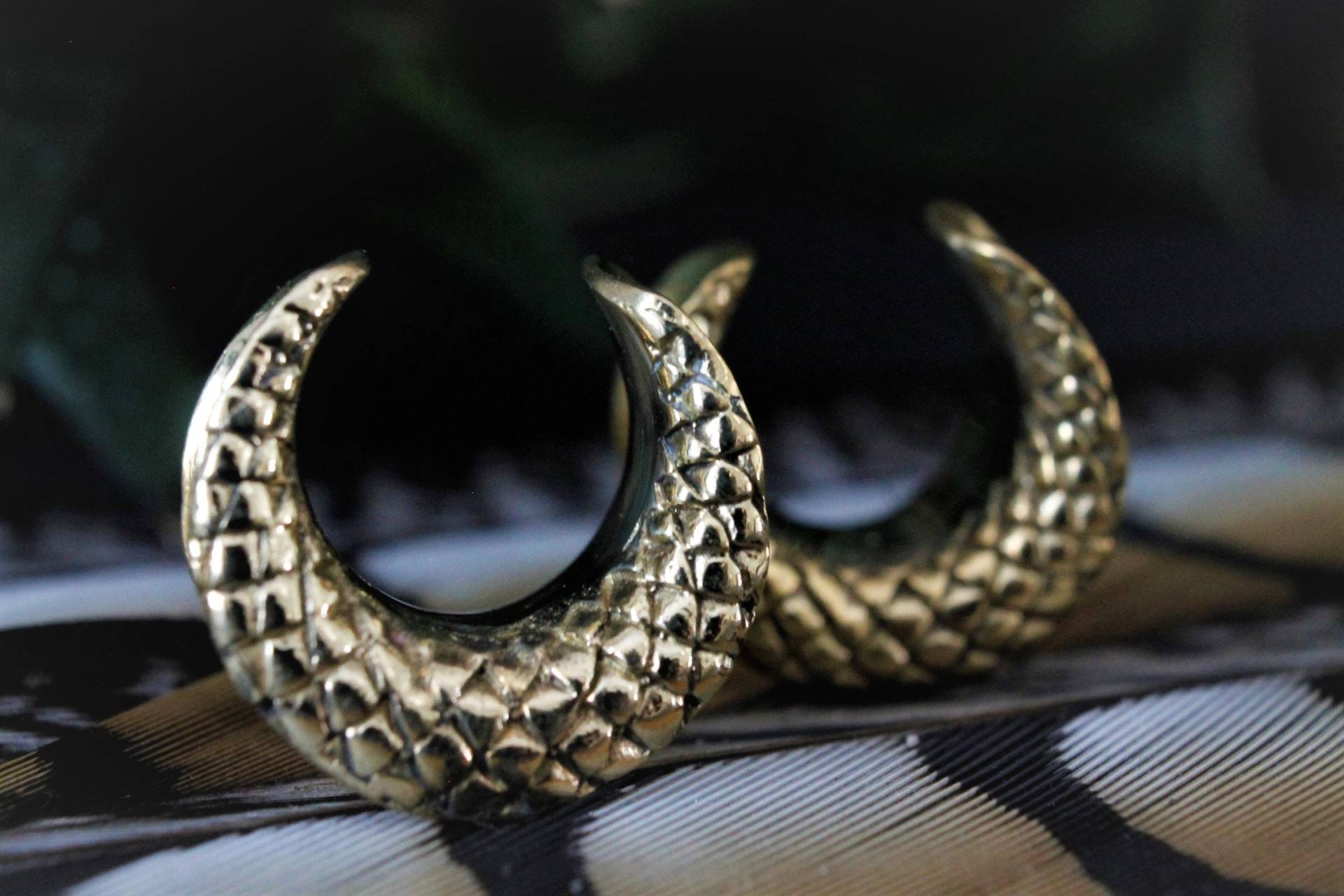 Goldene Tunnel Aus Messing, 1 Paar, Unisex, Schlangenmuster, Verschiedene Größen, Strecher, Flesh-Tunnel, Schlangentunnel, Festivals Goldene Tunnel Aus Messing, 1 Paar, Unisex, Schlangenmuster, Verschiedene Größen, Strecher, Flesh-Tunnel, Schlangentunnel, Festivals von WorldOfNaiad
