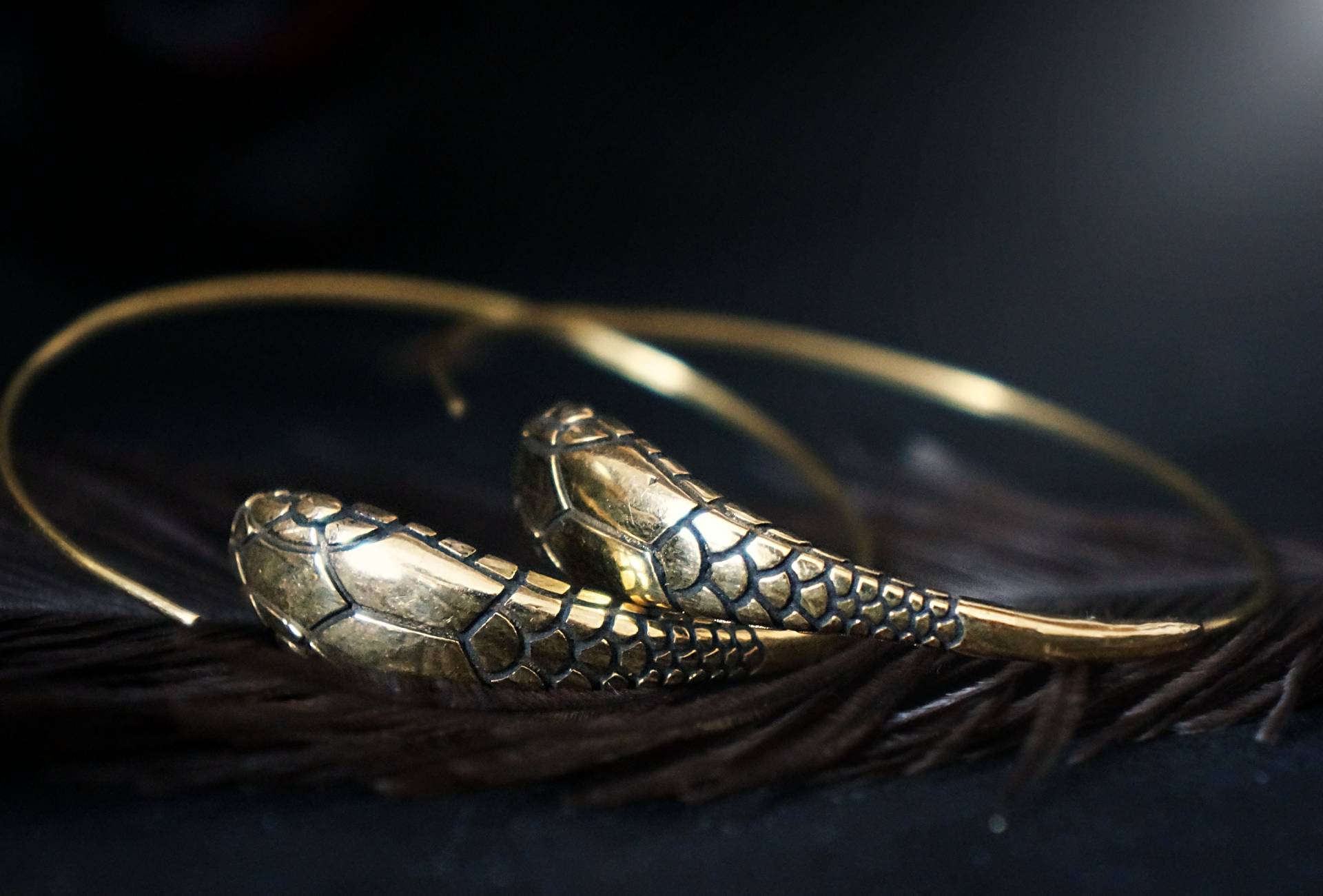 Große Schlangen Creolen, Goldene Ohrringe, Schlangenschmuck, Schlangenkopf, Python, Viper, Nickelfrei/Bleifrei, Reptilien Ohrringe Große Schlangen Creolen, Goldene Ohrringe, Schlangenschmuck, Schlangenkopf, Python, Viper, Nickelfrei/Bleifrei, Reptilien Ohrringe von WorldOfNaiad