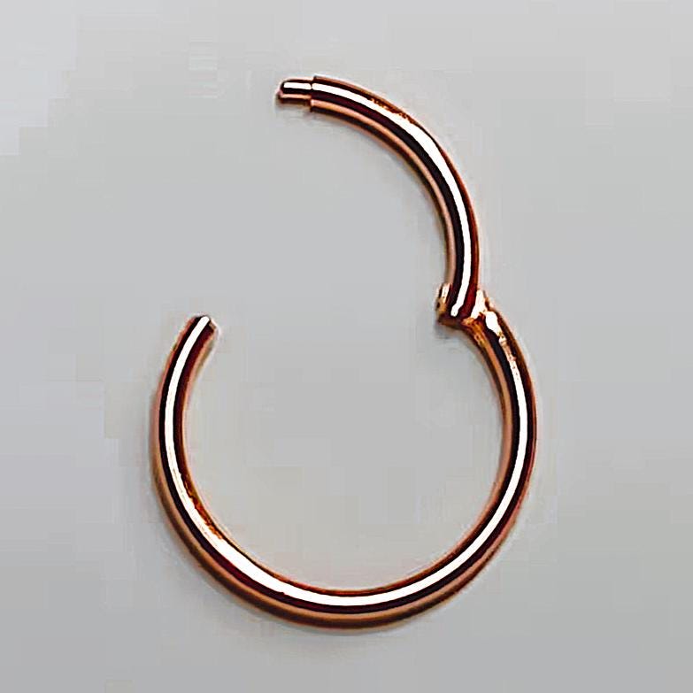 750 Echt Gold 18K Clicker Piercing Ring 585 14K Rosegold Weissgold Gelbgold Nase Ohr Intim Nasenring Ohrring Nasenpiercing Creole Septum 750 Echt Gold 18K Clicker Piercing Ring 585 14K Rosegold Weissgold Gelbgold Nase Ohr Intim Nasenring Ohrring Nasenpiercing Creole Septum von WorldOfPiercing