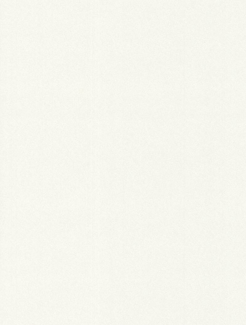 WOW Papiertapete "Speckles" uni geprägt Weiß - 10m x 52cm von Wow