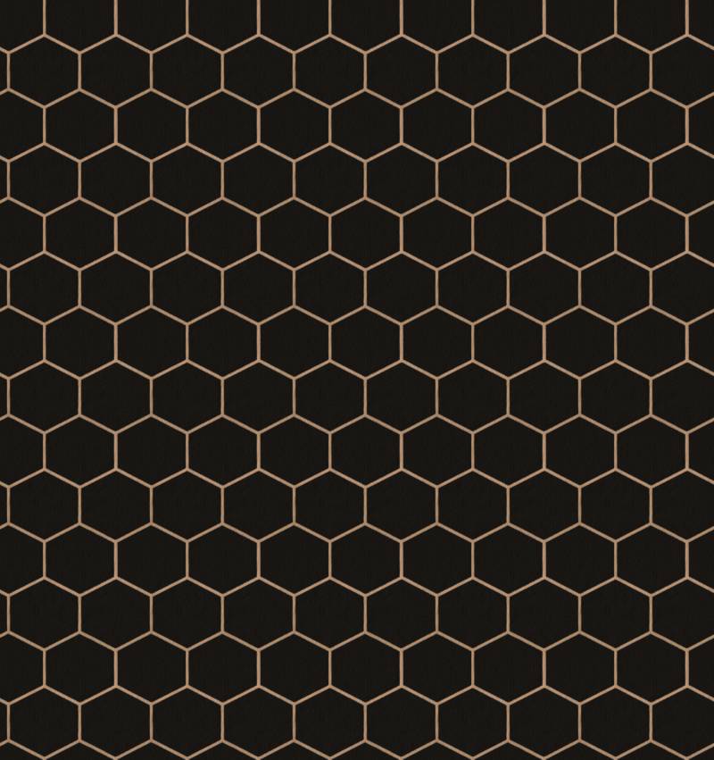 WOW Vliestapete "Hexagon Geo" geometrisch aufgeschäumt Schwarz - 10m x 52cm von Wow