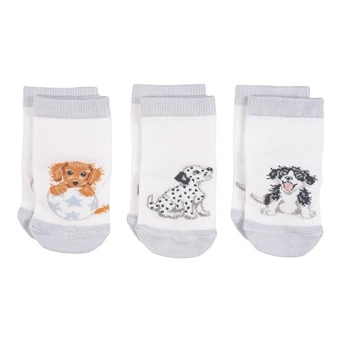 Wrendale - LTW-SOCK003 - Little Wren Baby Socken Set, 3 Paar, Hunde, waschbar, 0-6 Monate von Wrendale