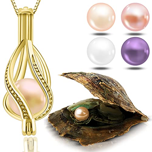 Wunschperlen Perlenkette Damen Schmuck Set - Drop Kette Gold und Muschel mit Perle - 18k Vergoldet 925 Silberkette Damen mit Anhänger und Echte Perle in Muschel - Schmuckset Gold Geschenk für Sie von Wunschperlen