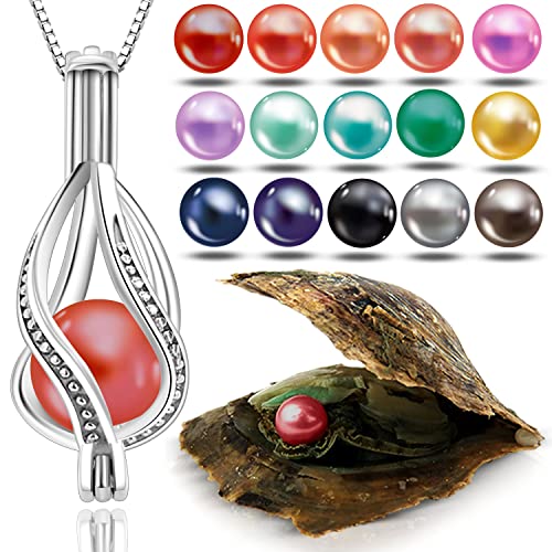 Wunschperlen Perlenkette Damen Schmuck Set - Drop Kette Silber und Muschel mit Perle - 925 Silber-Kette Damen mit Anhänger und Echte Perle in Muschel - Schmuckset Silber Geschenk für Sie Wunschperlen Perlenkette Damen Schmuck Set - Drop Kette Silber und Muschel mit Perle - 925 Silber-Kette Damen mit Anhänger und Echte Perle in Muschel - Schmuckset Silber Geschenk für Sie von Wunschperlen