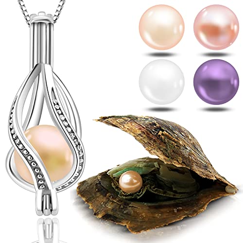 Wunschperlen Perlenkette Damen Schmuck Set - Drop Kette Silber und Muschel mit Perle - 925 Silber-Kette Damen mit Anhänger und Echte Perle in Muschel - Schmuckset Silber Geschenk für Sie Wunschperlen Perlenkette Damen Schmuck Set - Drop Kette Silber und Muschel mit Perle - 925 Silber-Kette Damen mit Anhänger und Echte Perle in Muschel - Schmuckset Silber Geschenk für Sie von Wunschperlen