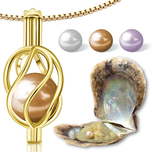 Wunschperlen Perlenkette Damen Schmuck Set - Helix Kette Gold und Muschel mit Perle - 18k Vergoldet 925 Silberkette Damen mit Anhänger und Echte Perle in Muschel - Schmuckset Gold Geschenk für Sie Wunschperlen Perlenkette Damen Schmuck Set - Helix Kette Gold und Muschel mit Perle - 18k Vergoldet 925 Silberkette Damen mit Anhänger und Echte Perle in Muschel - Schmuckset Gold Geschenk für Sie von Wunschperlen