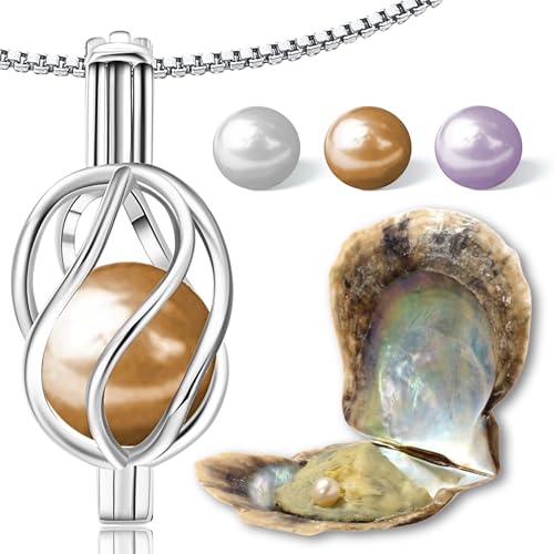 Wunschperlen Perlenkette Damen Schmuck Set - Helix Kette Silber und Muschel mit Perle - 925 Silber-Kette Damen mit Anhänger und Echte Perle in muschel - Schmuckset Silber Geschenk für Sie Wunschperlen Perlenkette Damen Schmuck Set - Helix Kette Silber und Muschel mit Perle - 925 Silber-Kette Damen mit Anhänger und Echte Perle in muschel - Schmuckset Silber Geschenk für Sie von Wunschperlen