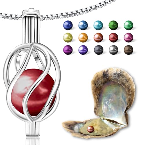 Wunschperlen Perlenkette Damen Schmuck Set - Helix Kette Silber und Muschel mit Perle - 925 Silber-Kette Damen mit Anhänger und Echte Perle in muschel - Schmuckset Silber Geschenk für Sie Wunschperlen Perlenkette Damen Schmuck Set - Helix Kette Silber und Muschel mit Perle - 925 Silber-Kette Damen mit Anhänger und Echte Perle in muschel - Schmuckset Silber Geschenk für Sie von Wunschperlen