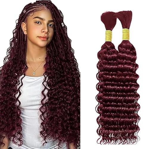 WuvuSnm Human Hair Braiding Deep Wave Boho Braids Bulk Hair Weave Natural Extensions No Weft Burgundy Color 2 Braids Per Pack Total 100 g for Women 30,5 cm (12 12 Zoll) von WuvuSnm