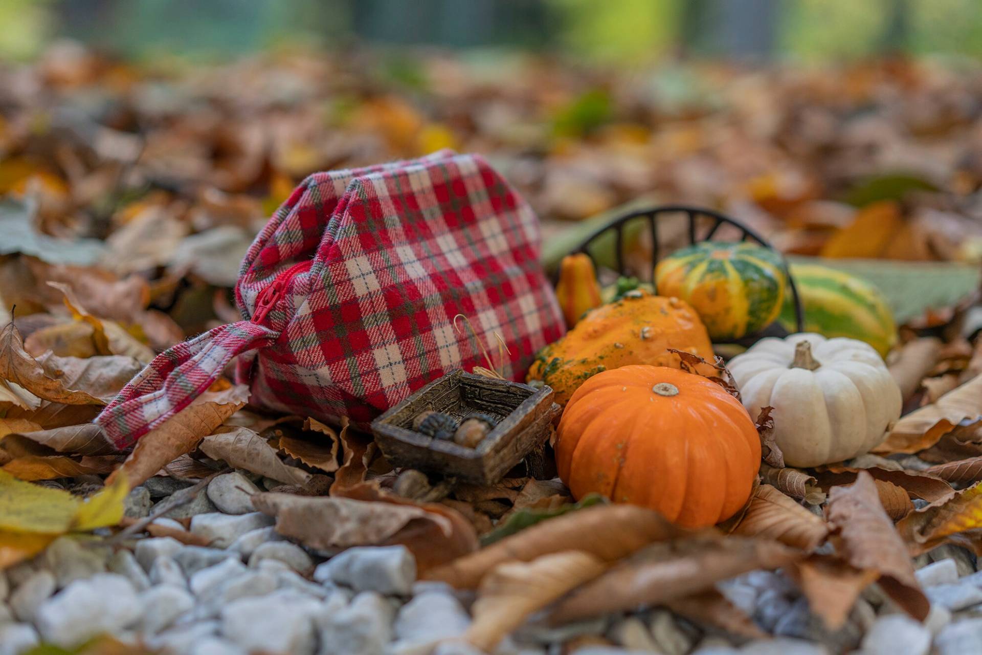 Handgemachte Urlaub Geschenk Medium Zubehör Tasche - Tartan von WyVeeClothCraft