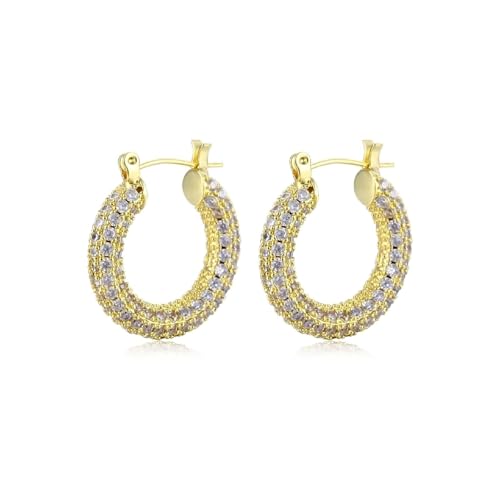 Damen Ohrringe Modeschmuck, Ohrringe Gold Creolen Kreiskanal mit Vielen Kleinen Zirkonen für Valentinstag Schmuck von Wycian