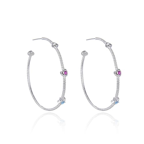 Damen Ohrringe Urlaub, Damen Ohrringe Creolen Silber S925 Sterling Zirkonia Kreis für Jubiläum Schmuck von Wycian