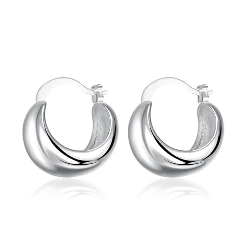 Damen Schmuck, Silberne Creolen Versilbert Vintage Ohrring 20X18mm für Neujahr Schmuck von Wycian