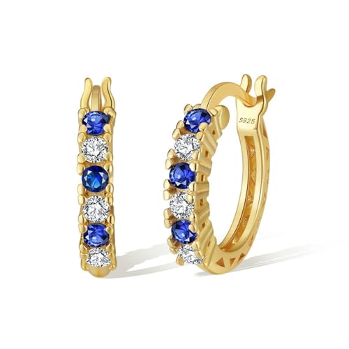 Ohrringe Damen Cool, Creolen Gold Ohrringe S925 Sterling Silber mit Blau-Weißem Zirkonia für Vatertag Schmuck von Wycian
