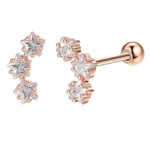 Ohrringe Damen Cool, Ohrstecker Rosegold S925 Sterling Silber Zirkonia Stern 14X7mm für Hochzeit Schmuck von Wycian