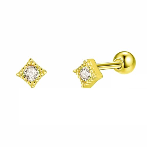 Ohrringe Damen Stecker, Ohrstecker Gold Tragus S925 Sterling Silber Zirkonia Runden für Hochzeit Schmuck von Wycian