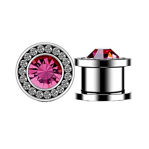 Wycian Ear Tunnel Set, Ohr Tunnel Edelstahl Mit Zirkonia Silber 2STCK 2g 6MM Rostfreier Stahl Tunnel Piercing für Männer Frauen von Wycian