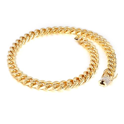 Wycian Goldene Kette, Herren Halskette 55cm Edelstahl Drachenbart mit Eingelegtem Zirkon Ketten Halskette für Jubiläums Geburtstag von Wycian