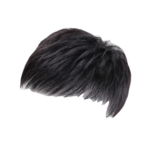 Herren Kurze Perücken Synthetische Faserperücken Haarstück Cosplay Party Natürliche Aussehen Perücken Kopfbedeckung Für Schnelle Frisur von Wynrzyj