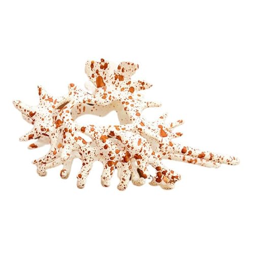 Haarklammer in Muschelform für Damen, leichtes Harz-Haar-Accessoire für den täglichen Gebrauch, reisefreundlich, tragbare Haarklammer von X-Institute