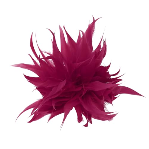 Modefeder Brosche Gänseplume Schal Clip Für Frauen Broschen Stecknadel Kleid Accessoire Damen Haarschmuck Feder Broschen Stifte Frauen Mode von XAGMODSHN