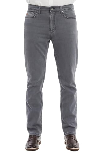 XCEDY - Herren Jeans Regular Fit, Denim Stretch Jeanshose, High Waist Authentic Straight Cut Hosen Herren CD356 (36W/32L Hellgrau) von XCEDY