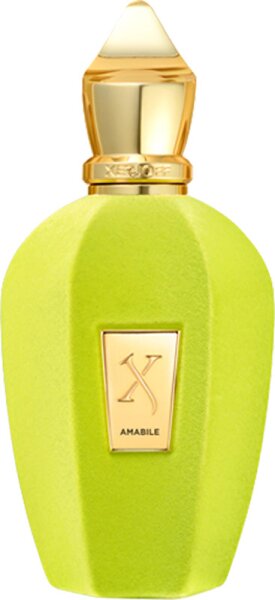 XERJOFF Amabile Eau de Parfum (EdP) 100 ml von XERJOFF