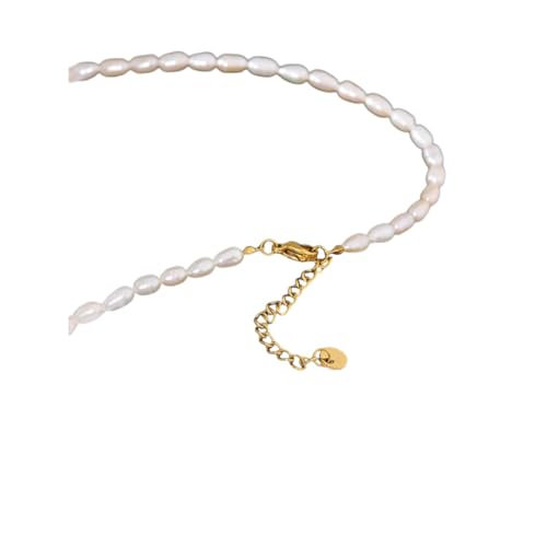 XFLSDHGD NEU 2026 Elegant natürlicher Perlenschmuck Halskette Mond Anhänger Edelstahlkragen wasserdichtes Temperament für Frauen Dekoration Luxus mit Ihrem Accessoires Trendy Bestes Geschenk von XFLSDHGD