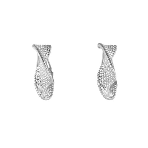 XFSRG Ohrringe Damen Silber Hängend Exquisites Design Schmuck für Hochzeit Party Alltag XFSRG Ohrringe Damen Silber Hängend Exquisites Design Schmuck für Hochzeit Party Alltag von XFSRG